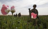 How the US Lost the Opium War in Afghanistan