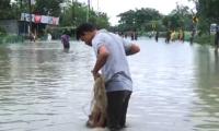 Catching Fish On A National Highway