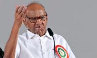 Will visit Ayodhya when...: Sharad Pawar