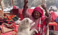 Meet Delhi's 'Dog Amma'