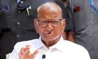 Sharad Pawar shows his nephew who's the real NCP