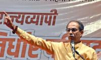 After Haryana results, Uddhav renews demand for...