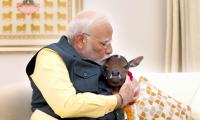 Meet Modi's new family member, 'Deepjyoti'