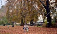 Kashmir Glows in Autumn Gold