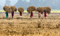 More credit for farmers, 6 new schemes announced