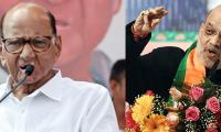 When he couldn't stay in Guj...: Pawar's dig at Shah