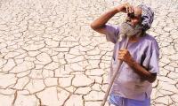 Over 2000 Killed by Extreme Weather in 2024