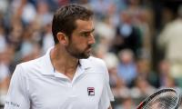 I have mountain to climb against Federer in final, says Cilic