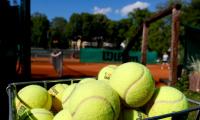 Singles only but Austrians return to tennis court