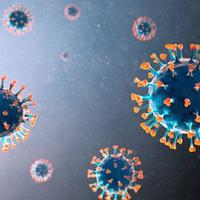 Representational image of the Covid-19 virus