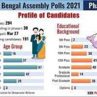 The profile of candidates in phase I of the WB polls