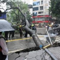 A tree blocks a road in Thane