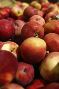 US wants India to remove tariffs on American apples it imports