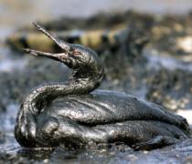 World's 10 worst oil disasters