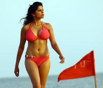 PIX: Is she hotter than No Entry's Bipasha