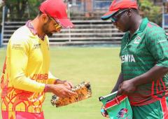 Cricket's expansion: Africa aims for IPL-like league