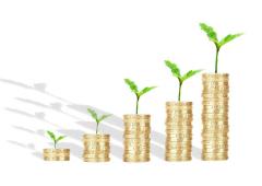 What Are Dividend Funds?