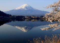 Sights And Dazzle Of Japan