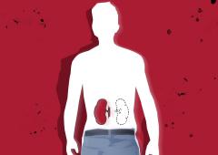 How To Remain Healthy With One Kidney?
