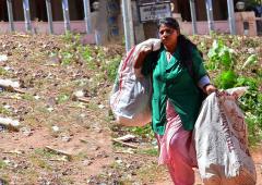 Garbage Collector Whose Book Is Taught