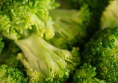 Why Broccoli Should Be Your Go-To Superfood