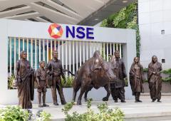 NSE Bull Gets A Human Family