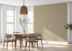 'India's paint market is highly local and competitive'