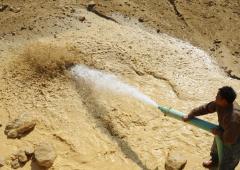 'Auto industry has resilience to tackle rare earth issue'