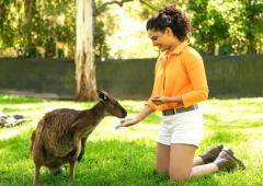 Saiyami's Australian Diaries