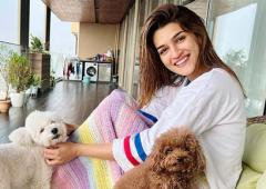 INSIDE Kriti Sanon's GORGEOUS Home