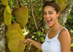 Ananya's Jackfruit Story