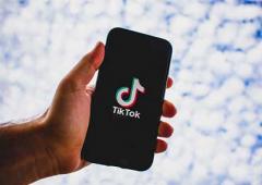 'Posting videos on TikTok was my bread and butter'
