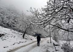 Srinagar Wrapped In Snow