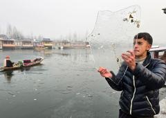 Spine-Chilling Cold Grips Kashmir