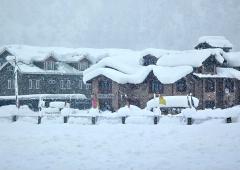 Snow Paints Kashmir White