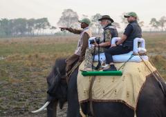PIX: Modi takes elephant, jeep safari in Kaziranga 