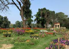Restoring India's Botanic Heritage