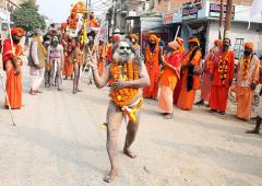 Sadhus Head to Kumbh Mela