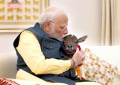 Meet Modi's new family member, 'Deepjyoti'