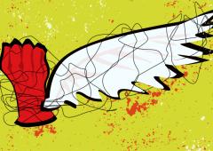 Why Academic Freedom Isn't Absolute