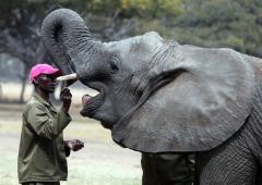 Caring for Kadiki