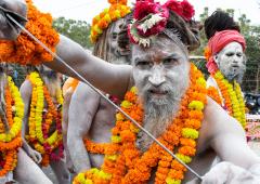 More Sadhus Arrive For Kumbh Mela