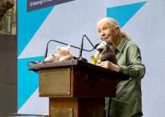 'Who Doesn't Know Dr Jane Goodall?'