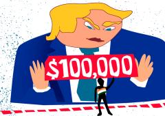 Visa Shock Stalls India's Talent Race