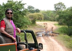 President Murmu Spots Gir's Lions