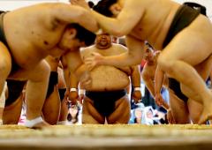 When Sumo Wrestlers Wrestle