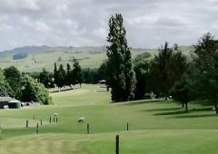 Sheep Fired! New Zealand golf course turns to mowers