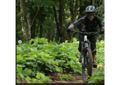India's Lone Woman Downhill Rider Turns Trailblazer