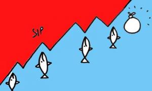 Stay invested in SIPs, folks!