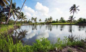 What's so magical about this tiny island in Kerala?